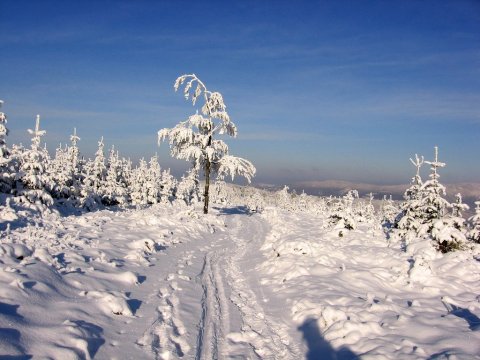 Na szlaku w kierunku Malinowa