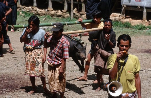 Każdy gość powinien ofiarować prezent i jest to odczytywane przez mikrofon