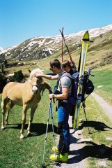 Miłe powitanie w dolinie