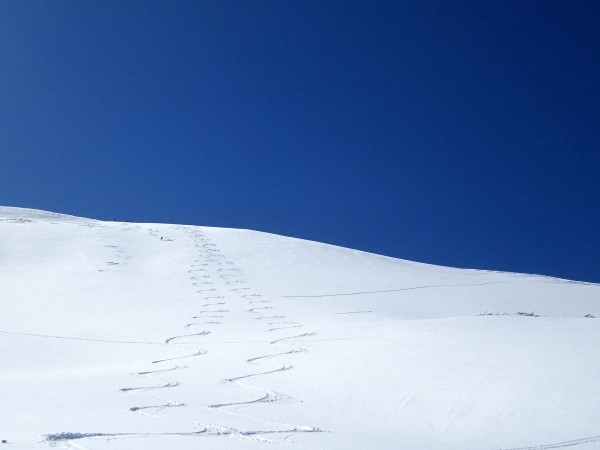 W linii prostej z Rakonia - dajemy przykład z Tatkiem ładnej linii i niezłej regularności ;-)