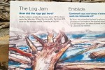 Log Jam
