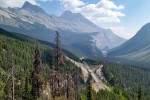 Z Icefields Parkway Viewpoint