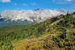 Widoczek z Parker Ridge Trail