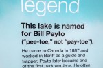 Bill Peyto