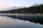 Herbert Lake