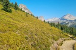 Dobre tereny dla niedźwiedzi