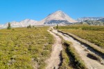 Helen Lake Trail. Na wprost widać Cirque Peak