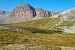 2400m npm