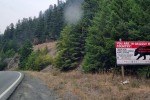 Grizzly bear country