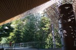 Audain Art Museum