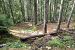 Midgard Lower