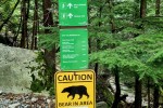 Niby dwa dni temu ale ktoś przy kempingu wołał bear, bear...