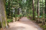 Stawamus Chief Provincial Park Campground