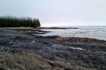 Idziemy w kierunku Botanical Beach