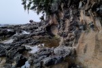 Tide pools