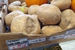 Jicama. Wygląda jak ziemniak, a podobno ma konsystencję gruszki i smakuje jak jabłko.