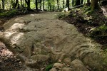 Wcale niełatwa podjazdówka Aurore - 4.7km dobrego wycisku