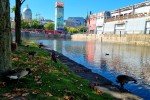 Parc du Bassin-Bonsecours