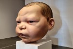 Ron Mueck, Head of a Baby, 2003