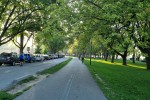 Coronation Park