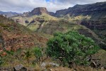 Gran Canaria