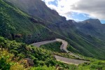 Widoczki