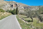 Camí a la Vall d´Ebo (Petracos)