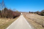 Pomiędzy Trzebniowem i Brzezinami