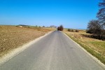 Ogorzelnik