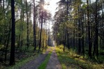 Piątek popołudnie na trasie