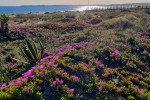 Praia de Alvor