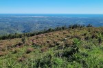Portimão w oddali - 18km zjazdów i 20 po płaskim