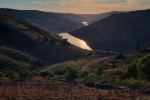 Douro