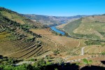 Przekształcony krajobraz Górnego Douro