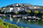 Pinhão