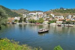 Pinhão