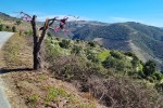 Alto Douro