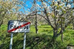 Wiosna w Favaios