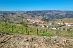 Krajobraz Douro