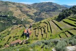 Super jest ten zjazd do Pinhão (N323)