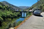 Pinhão