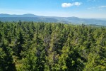 Widok na Śnieżnik (z wieży)
