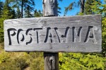 Ktoś się postarał