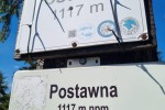1117m npm