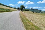 Barbotto