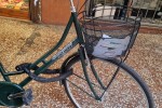 Bolognina