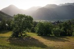 Pireneje