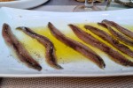 Anxoves de Llançà