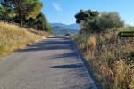 8 rano w stronę Coll de Banyuls