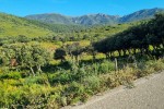 Serra de l'Albera